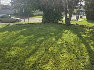Idella L.'s Lawn Mowing Service service result