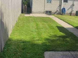 Teresa C.'s Lawn Mowing service result