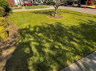 Julie L.'s Lawn Service service result