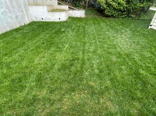 Arnold J.'s Lawn Maintenance service result