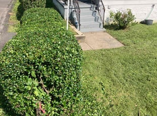 Kevin H.'s Lawn Service service result