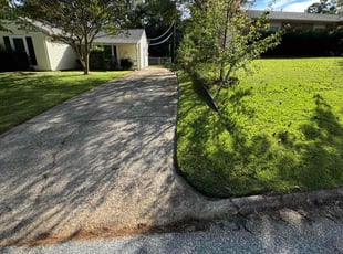 Maipu B.'s Lawn Service service result