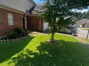 Filmore B.'s Lawn Care service result