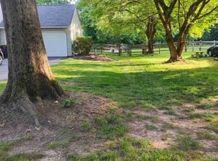 Cotrenia A.'s Lawn Mowing service result