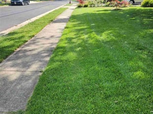 Kristy F.'s Lawn Mowing Service service result