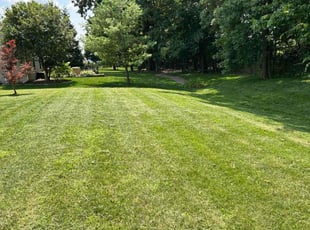 Aritra N.'s Lawn Mowing service result