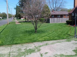 Tonya M.'s Lawn Mowing service result