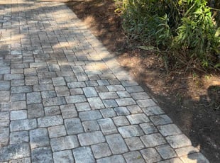 Leaf Removal by Gerard Burnett for Josh N. in Orlando, FL