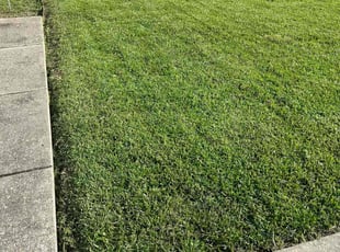 Jason A.'s Lawn Mowing service result