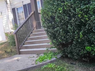 Bush Trimming by Abigail Waller for Yaser A. in Powder Springs, GA