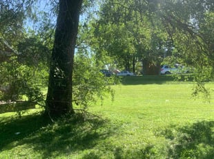 "Larry W.'s Lawn Mowing Service service result