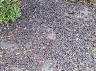 Weeding by Manny Chavez for Rakmoth U. in Woodbridge, VA