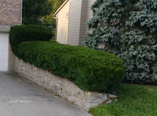 Bush Trimming by Walter Mclean for Mary B. in Green Township, OH