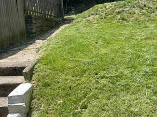 Andre O.'s Lawn Service service result