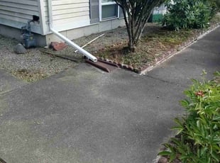 Weeding by Albert Brown for Diana L. in Randolph, MA