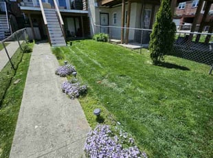 Jeff M.'s Lawn Care service result