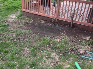 Leaf Removal by Evan Williams for Gail M. in Dayton, OH