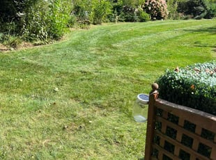 Cynthia F.'s Lawn Mowing service result