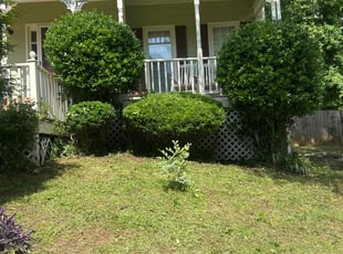 Bush Trimming by Chrishun Webber for Dale O. in Marietta, GA