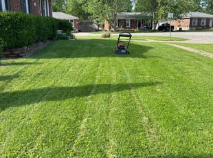 Denise O.'s Lawn Service service result
