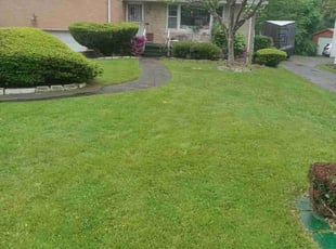 Cheryl M.'s Yard Cutting service result