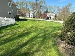 Martha C.'s Lawn Service service result