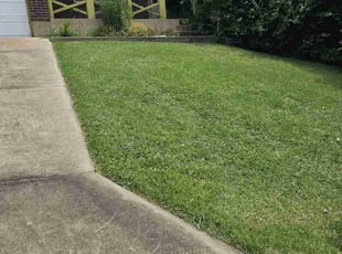 Lindsay M.'s Lawn Care service result