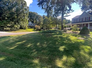 Troy B.'s Lawn Mowing service result