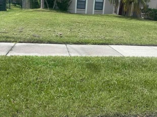 Carol L.'s Lawn Mowing Service service result