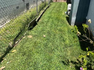 Richard P.'s Grass Cutting service result