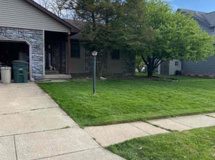 Dani L.'s Yard Cutting service result