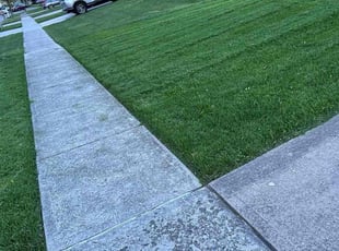 Phyllis T.'s Lawn Service service result