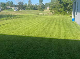 Aron E.'s Lawn Care service result