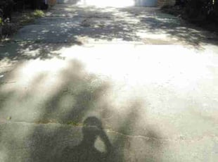 Cleanups by Tom Davis for Hanna J. in Denver, CO