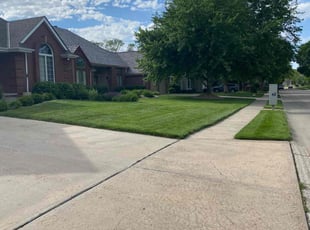 Dave B.'s Lawn Maintenance service result