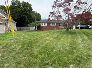 Dharani K.'s Lawn Care service result