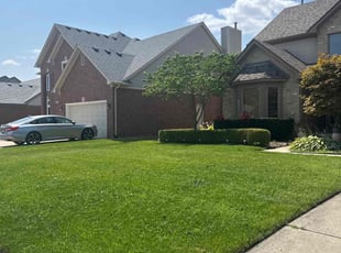 Michelle M.'s Yard Cutting service result