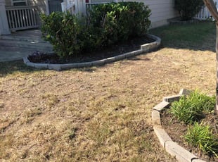 Bush Trimming by Emilio Cisneros for Lillian H. in Round Rock, TX