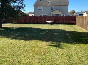 Carol F.'s Lawn Care service result