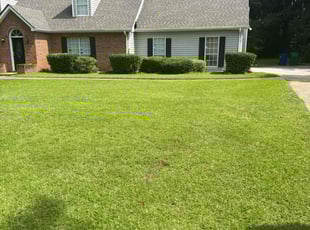 Cleanups by Toni Feaster for Damian H. in Lithonia, GA