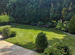 Syedzainul H.'s Lawn Mowing Service service result