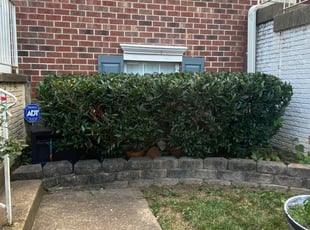 Bush Trimming by Manny Chavez for Crystal E. in Stafford, VA