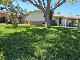 Anne M.'s Lawn Mowing Service service result