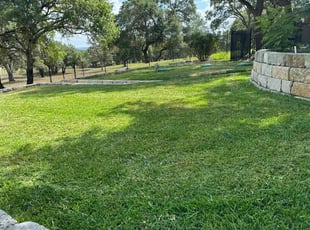 Irene A.'s Lawn Maintenance service result