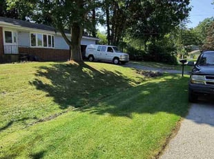 Sharon D.'s Lawn Mowing service result