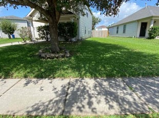 Eryn D.'s Grass Cutting service result