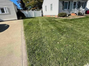 Greg S.'s Lawn Maintenance service result
