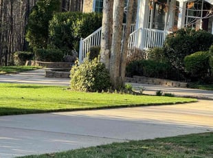 Nancy I.'s Lawn Care service result