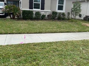 Bush Trimming by Ramona Lara for Z A. in Valrico, FL
