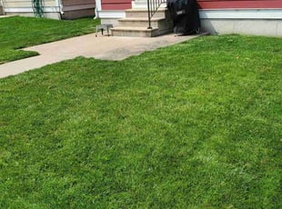 Sheila B.'s Yard Cutting service result